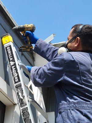 Doing a local treatment for Drywood termites