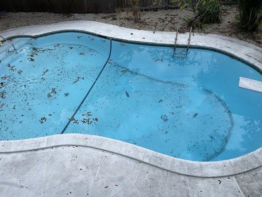 These are photos of our pool spread out between months of service showing how they never cleaned the filter sand out of the pool.