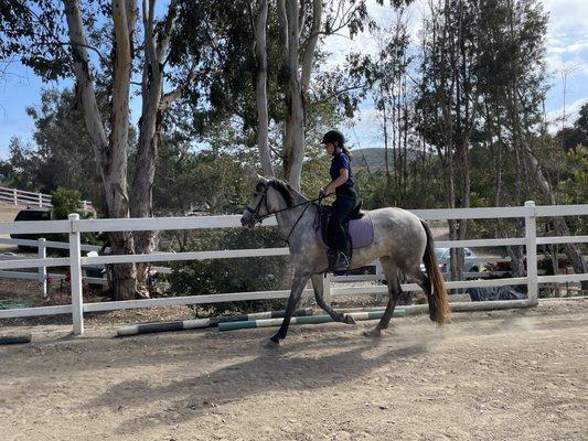 Horseback riding