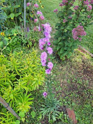 Goffle Brook Farm & Garden Center