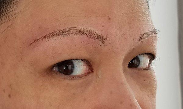 KC27-AFTER: Metropolitan Microblading gave her delicate, shapely, natural-looking brows to match her lifestyle and lovely personality. 3