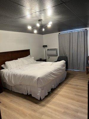 Large bedroom, newly remodeled. Four different lighting options. Mini fridge, microwave, wall AC unit.