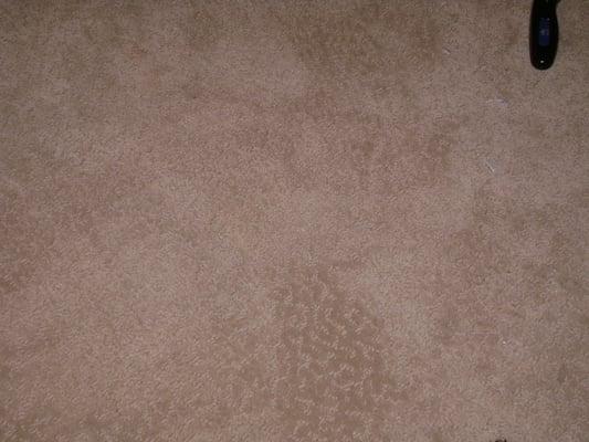 After Carpet burn repaired by Everette Carpet