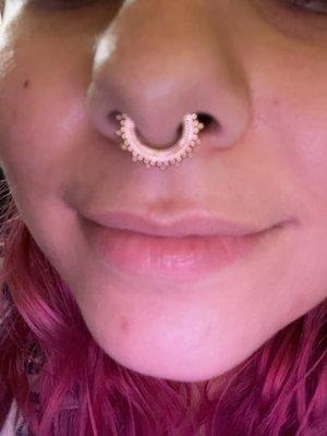 Septum