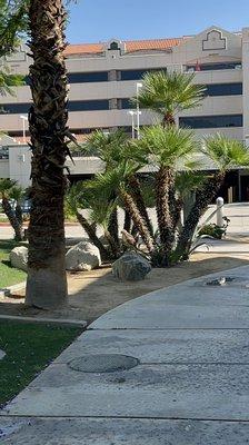 Parking structure right in front of main entrance.