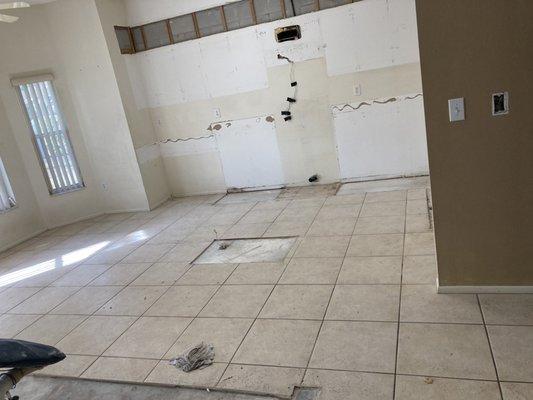 after photo of Kitchen remodel clean out of cabinets in New Tampa.