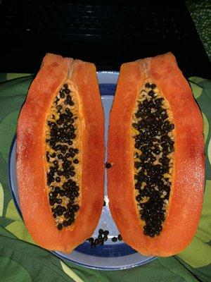 Super sweet papayas!