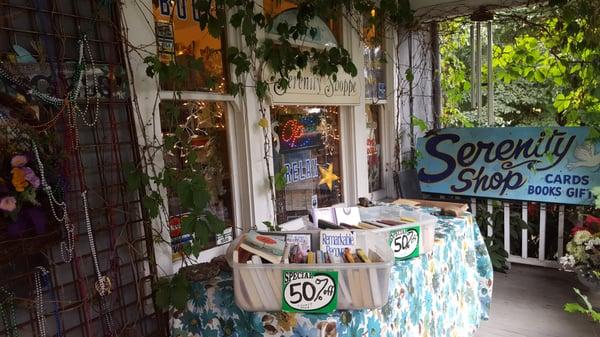 Cozy porch with lots of books to choose from