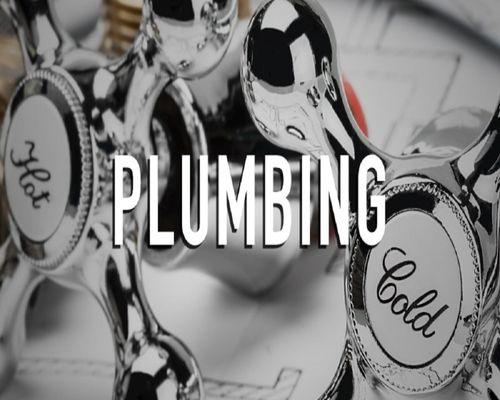 Professional plumbers