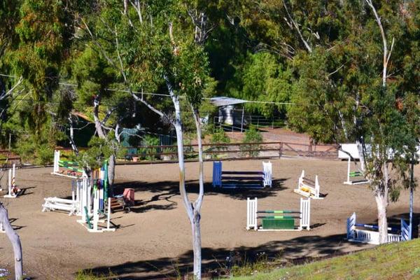 Our spacious arena is groomed daily to maintain the excellent footing.