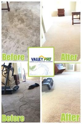 A Pet owner ethusiast and repeat customer took these photos for us before and after a recent cleaning.  Enjoy!