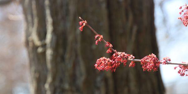 Spring colors