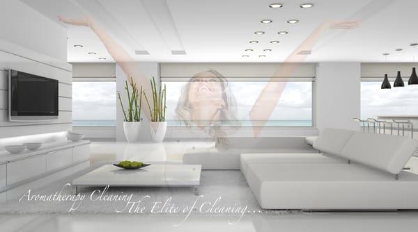 Elite Skyline Cleaning Service