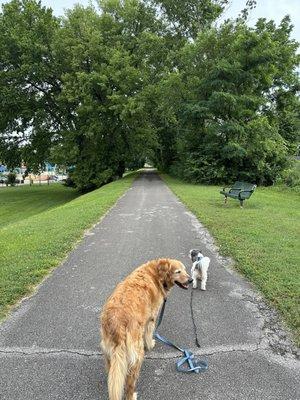 Trail across from trailer park