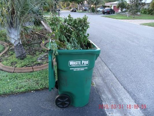 One small bulk of bulk waste, not a whole driveway's worth!