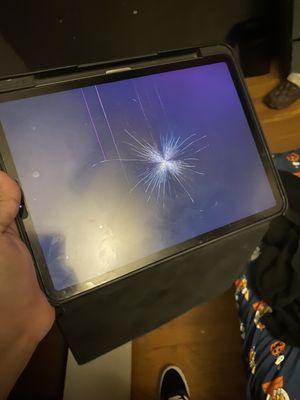 Before iPad 11 pro max broken screen