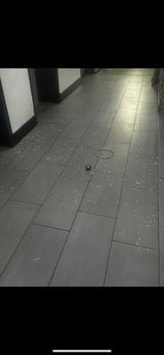 Shattered glass in front of the elevators that I cleaned up myself so I can take the puppies to the restroom