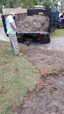 Tree Service in Tampa, FL