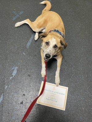 Charlie graduated from his PrimePaw class!