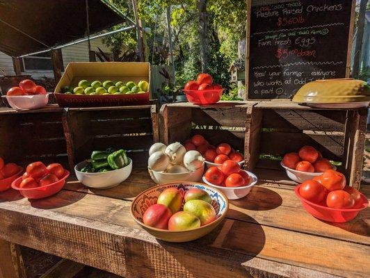 Fruit and vegetables.