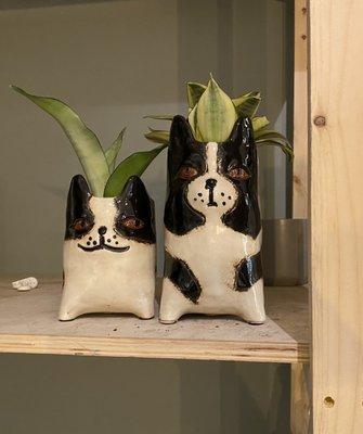 dog planters