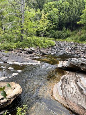 "The earth does not belong to man; man belongs to the earth." - Chief Seattle