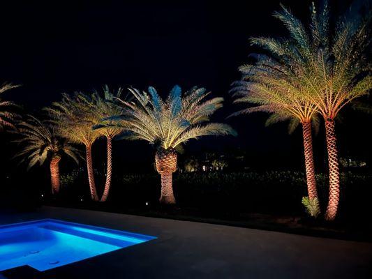 Beautiful landscape lighting project completed in Naples, FL