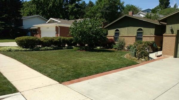 Lawn mowing, edging, weeding