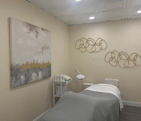 Facial treatment room for customized facials, chemical peels, dermaplaning, hydradermabrasion, LED light therapy and more.