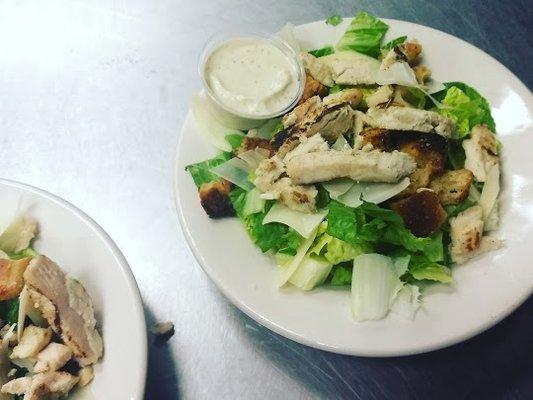 Grilled Chicken Caesar Salad