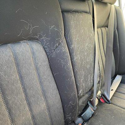 This Mazda came in with a fluff explosion  in the back seats. Our team was able to remove all of the pet hair with an interior detail.