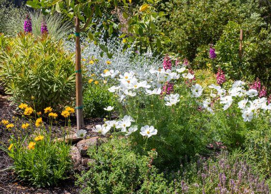 San Rafael Landscaping