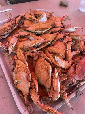 Jumbos Maryland Blue Crabs