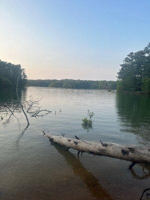 Photo op on the walking/bicycle trail