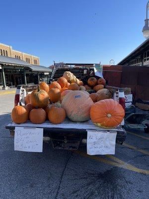 Great deal on pumpkins