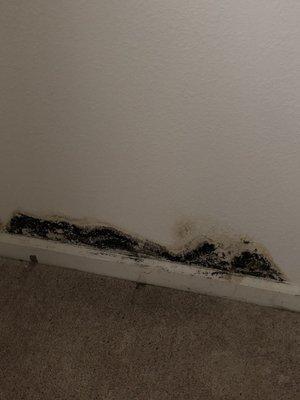 Bottom of closet baseboard