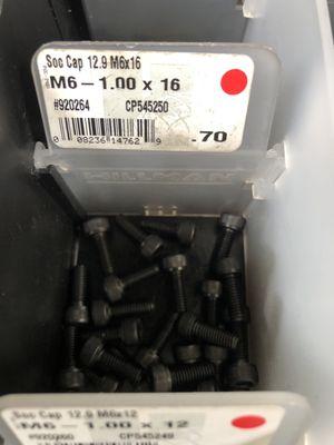 Metric fasteners M6 x16L