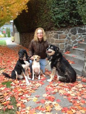 Daily Dog Walks Central Oregon Pet Care Pros