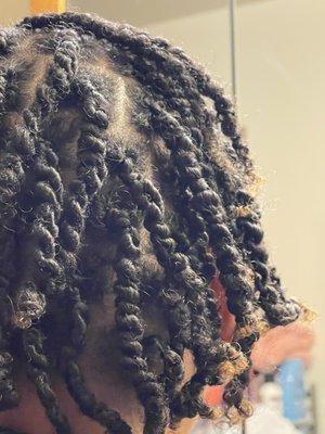 Two-strand twist starter locs