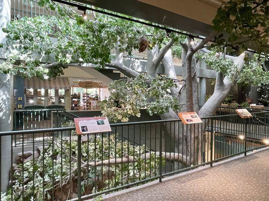 Second floor view of the tree at the center of the museum