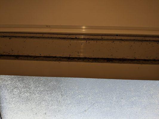 Mold on bathroom window