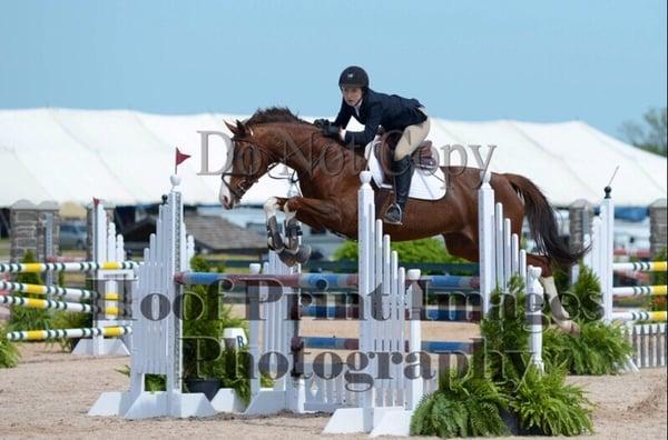 Willow Dell Equestrian Center