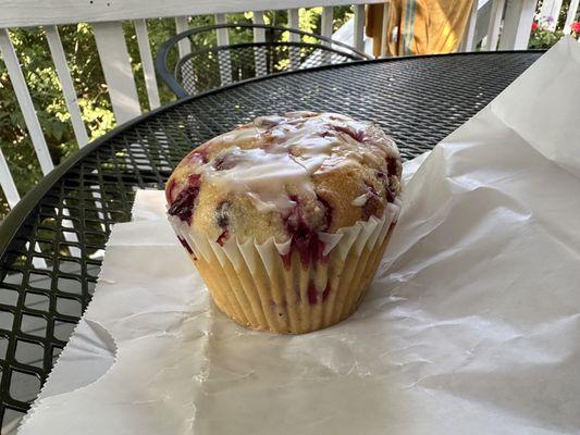 Cranberry muffin from a vendor