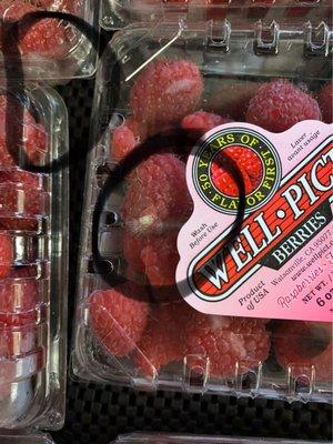 Moldy raspberries.