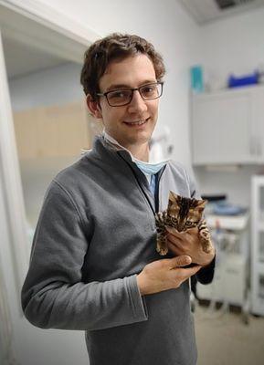 Dr. Neale providing a wellness exam on a family's new kitten.