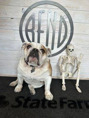 Sadie with her spooky friend at State Farm.