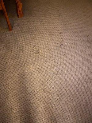 More stained carpets. It was literally like this in the entire unit.