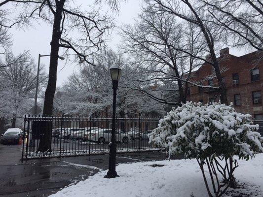 The park next to the school in winter.