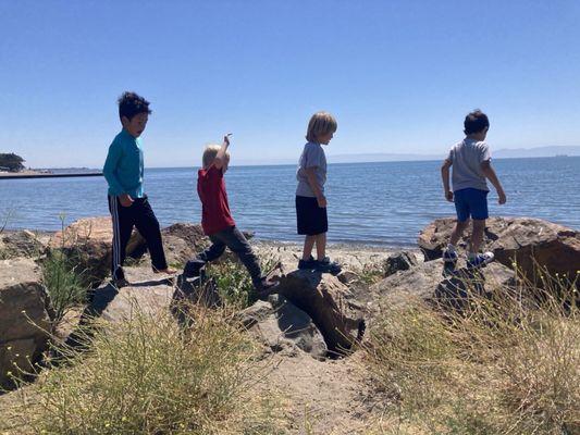 School at the beach