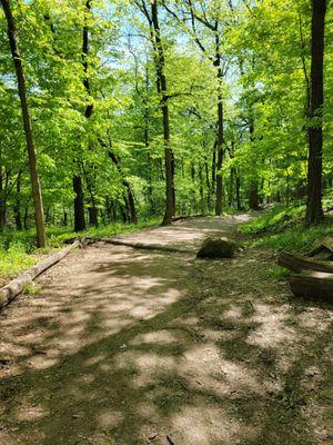 Trail to Mount Pleasant